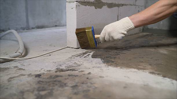 24/7 Emergency Wet Basement Repair experts in River Grove, IL